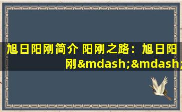 旭日阳刚简介 阳刚之路：旭日阳刚——重振国威的音乐传奇